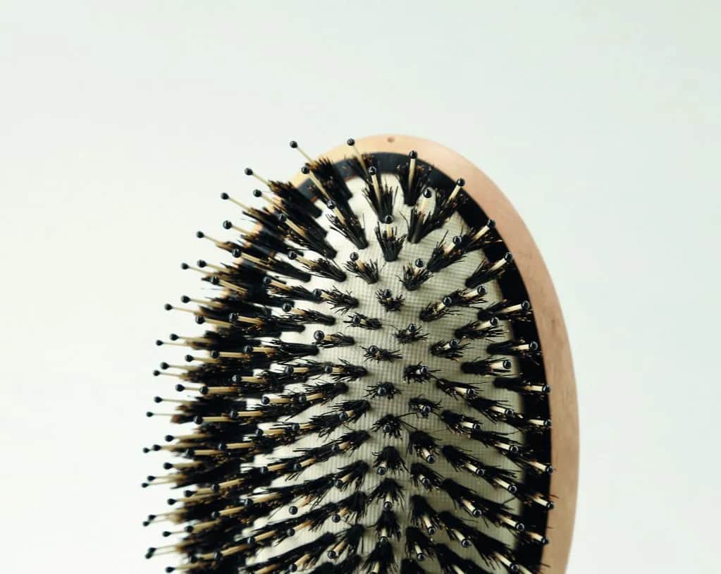 Jak czyścić szczotkę z włosia dzika, aby uniknąć jej zniszczenia