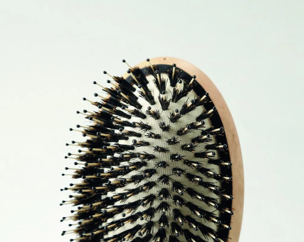 Jak czyścić szczotkę z włosia dzika, aby uniknąć jej zniszczenia