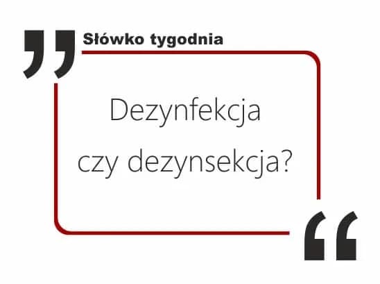 Dezynfekcja czy dezynfekcja: co musisz wiedzieć o skuteczności?